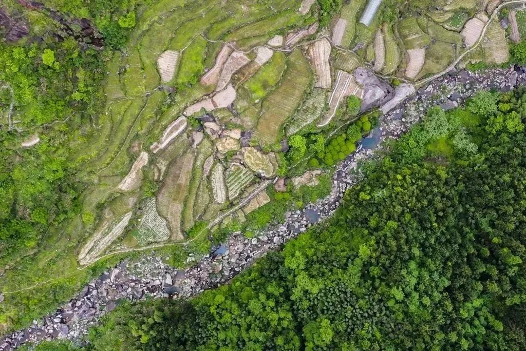 黃巖橘燈 點亮希望||地方創生的浙江道路
